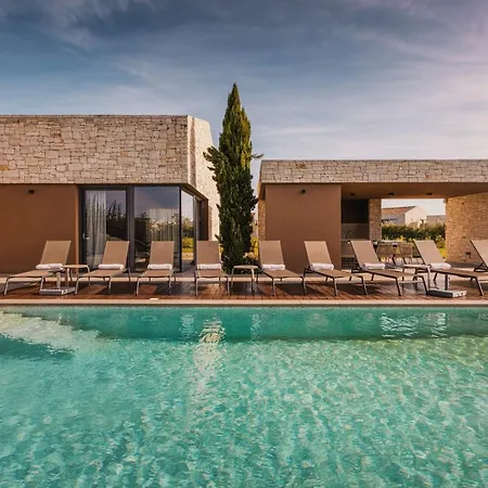 Luxury With A Swimming Pool Brtonigla, Novigrad - 26966 Vila *
